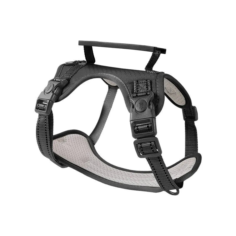 Adjustable dog harness and leash set in multiple colours with chest strap design