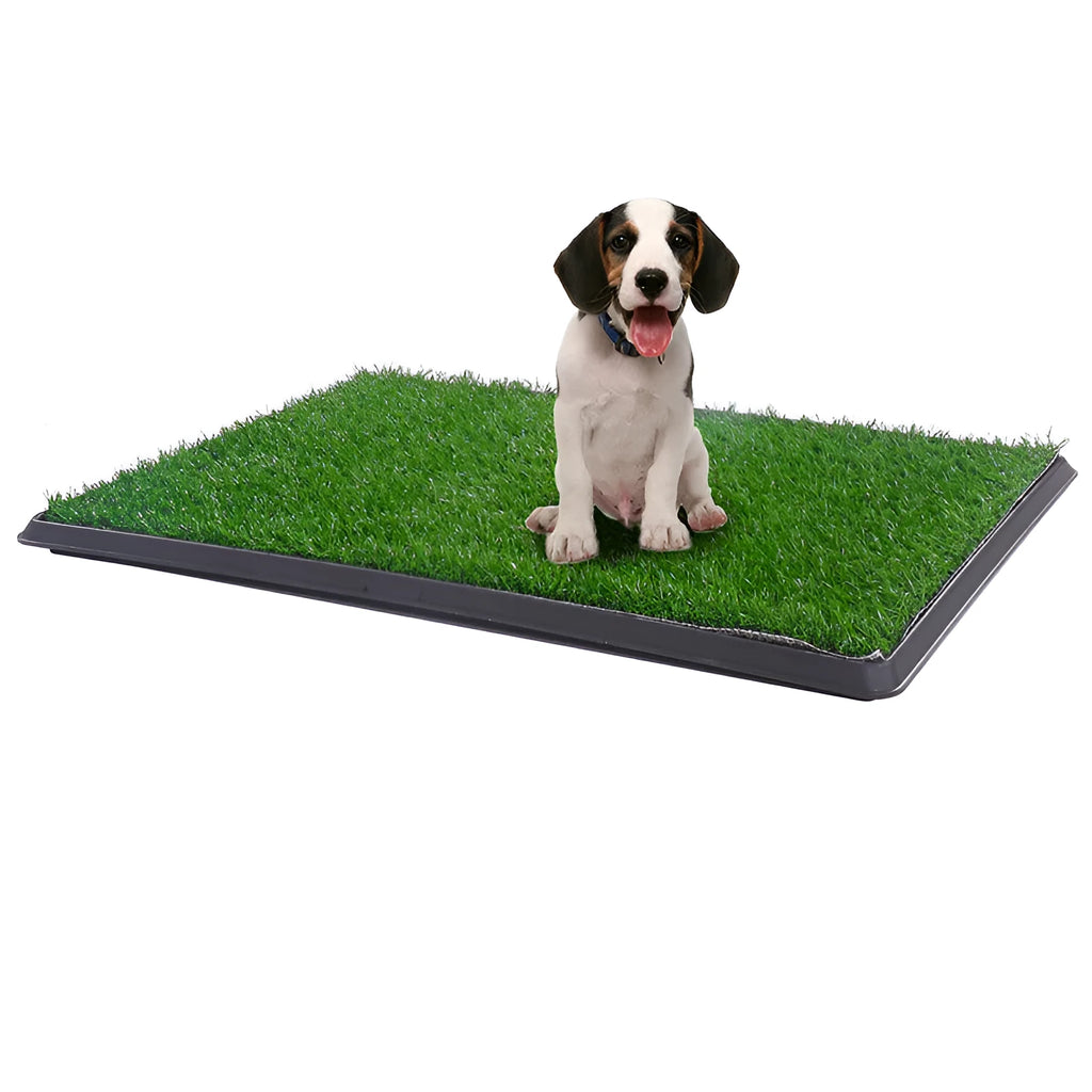 Particle dog toilet with emulational lawn showing three sizes small 40.6x51cm medium 51x64cm large 51x76cm