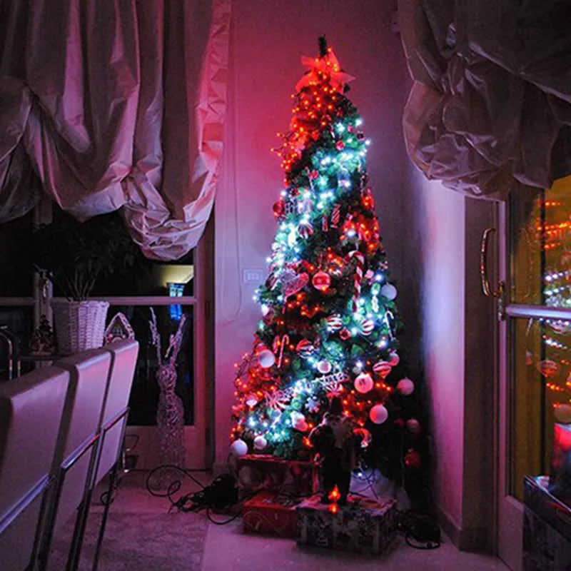 Warm white LED copper wire light string on USB plug with remote control
