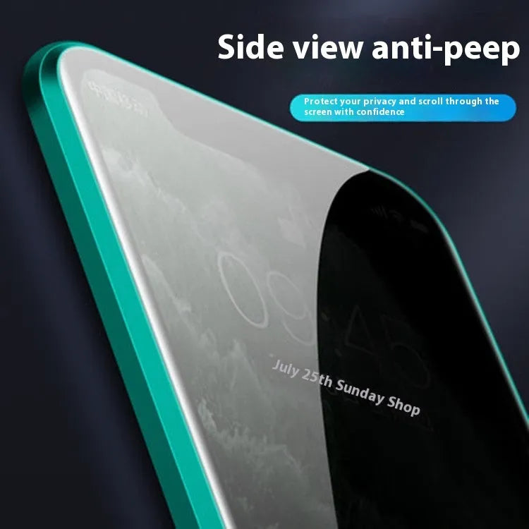 Anti-peep magnetic phone case in transparent black for Apple iPhone 16 Pro Max with aluminium alloy frame and double-sided glass