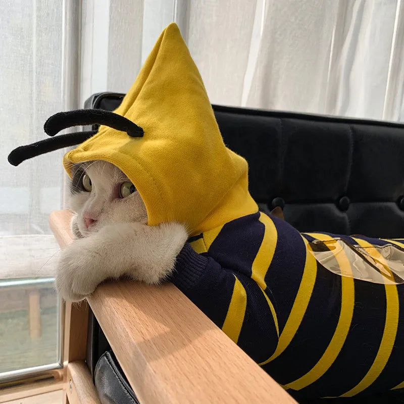 Bee pet hoodie plush winter coat in yellow striped bee transfiguration, sizes XS to XXXL