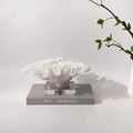 Nordic modern light luxury resin coral ornament, white colour, 34x31x15cm, on a wooden desk