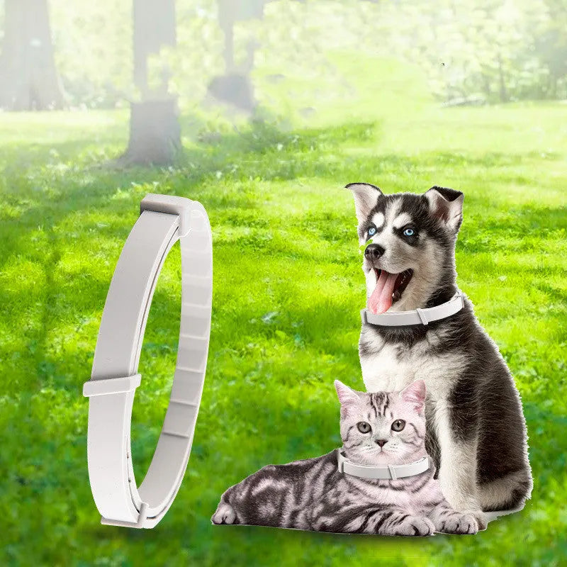 Adjustable pet anti-mosquito collar for cat and dog, made from TPR silica gel with natural plant extracts, providing 8 months flea and insect protection