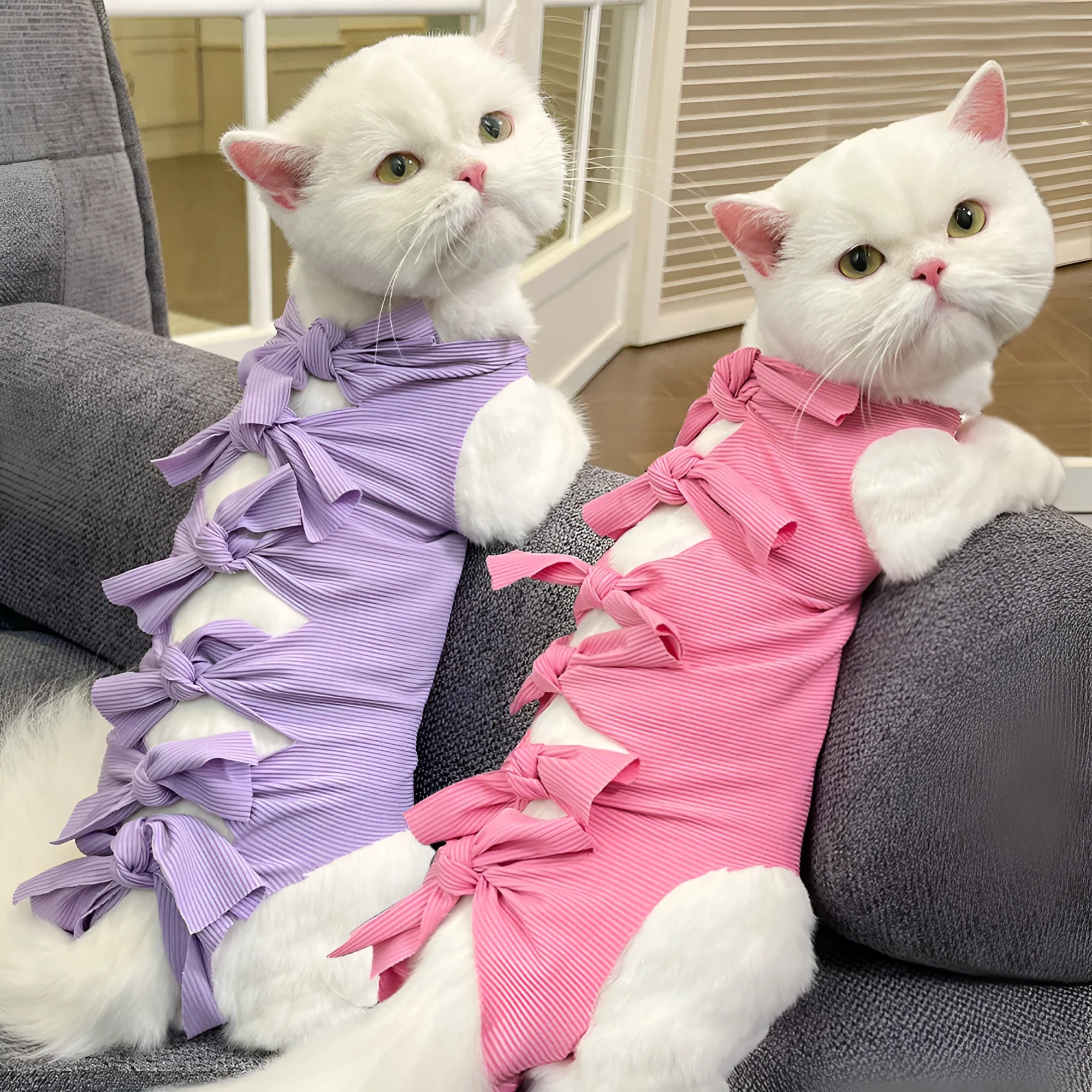 Lace-up back closure cat recovery suit in blue, sized for post-operative sterilisation care