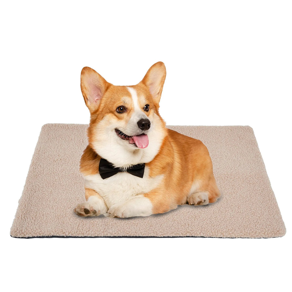 Grey plush self-heating pet pad for cats and dogs on indoor floor