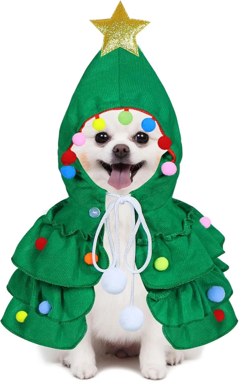 Cat wearing Christmas tree costume with star ornament in green