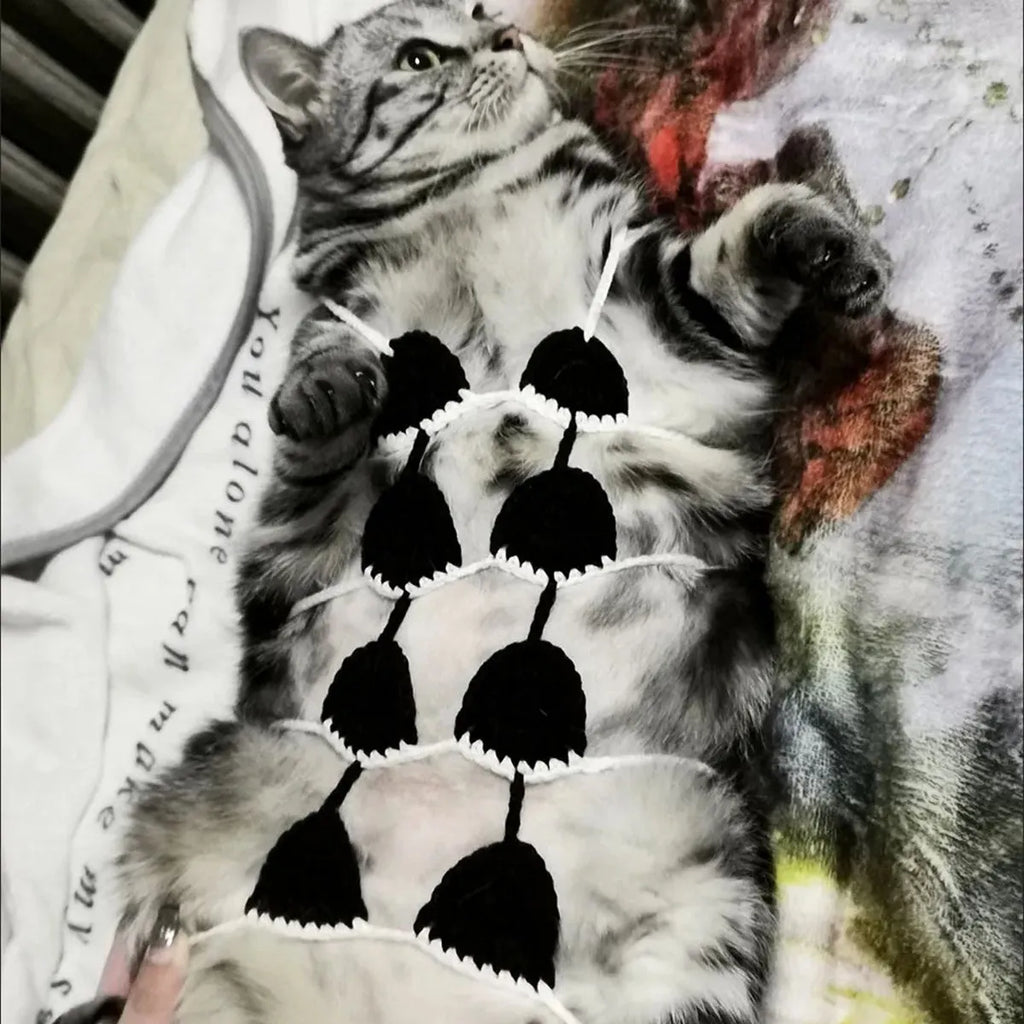 Cat wearing adjustable bikini costume in sweet style design with elastic straps