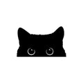 Cartoon black cat carving-half car sticker 15 by 9 centimetres on paper bottom