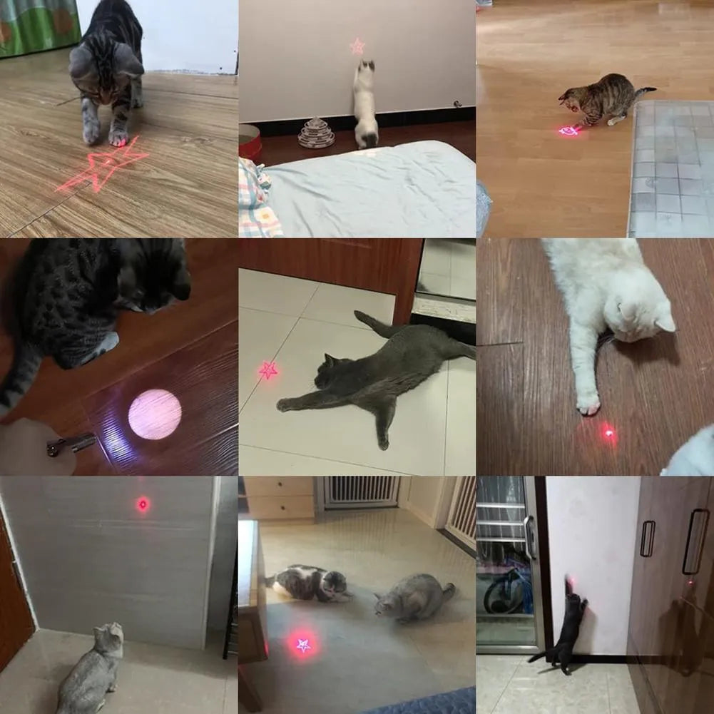 Pink and black USB rechargeable infrared cat teaser toy with keychain measuring 5x2.5cm