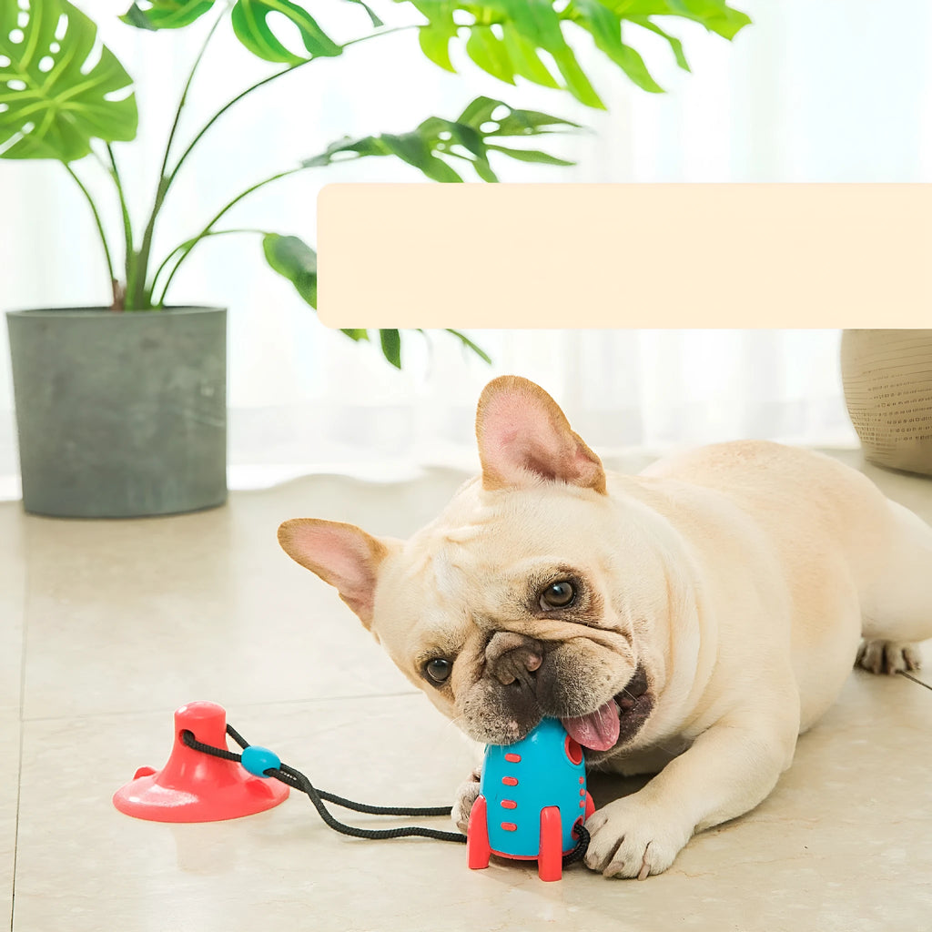 Rocket Dog Toys silicone biting toy with molar bumps in pet-friendly grey colour