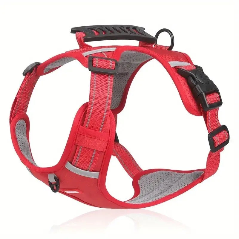 Polyester dog chest harness and leash in multiple colours including red, blue, and yellow on size options from XS to XL.