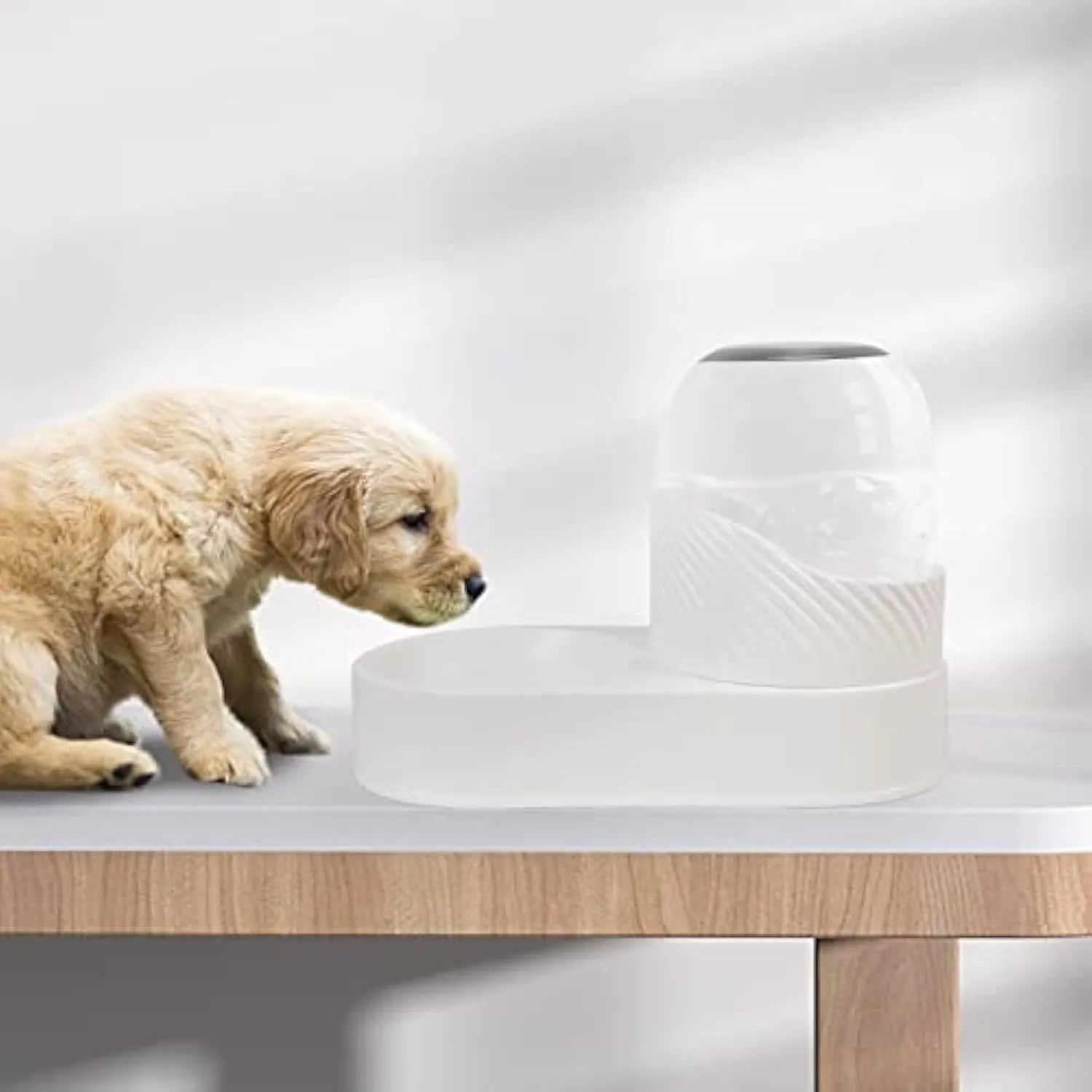 White PP gravity cat feeder and water dispenser set with wave-shaped design