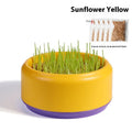 Hydroponic cat grass kit with five biodegradable cups in blue, green, and yellow colours.