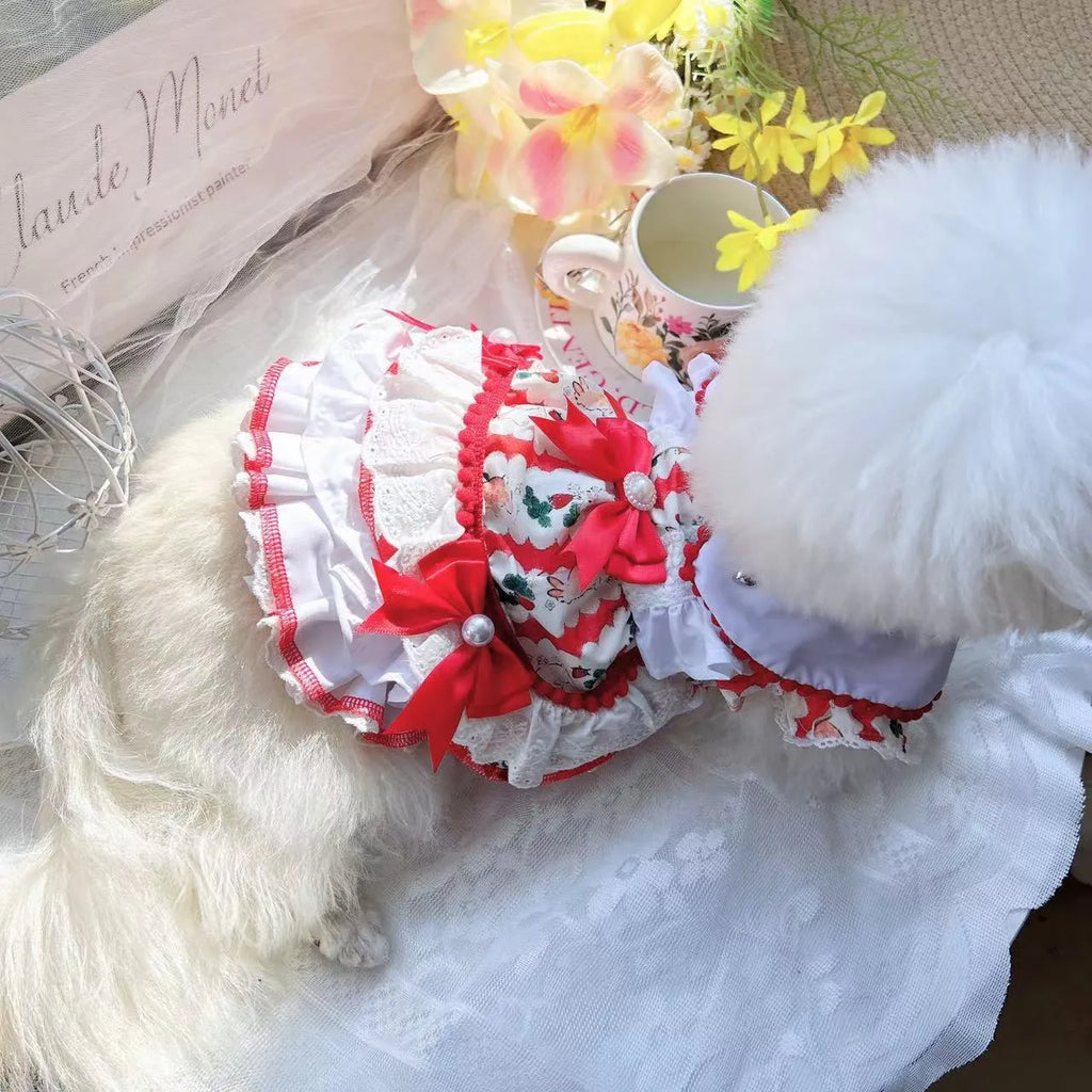 Small white dog wearing a light-coloured princess dress with a fluffy rabbit skirt attached.