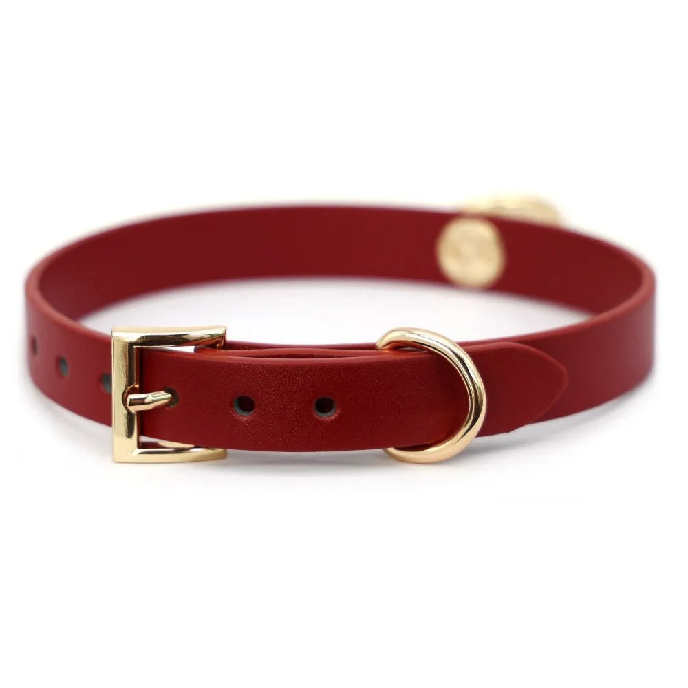 Black genuine cowhide leather adult collar with a metal drag chain and included pull lead