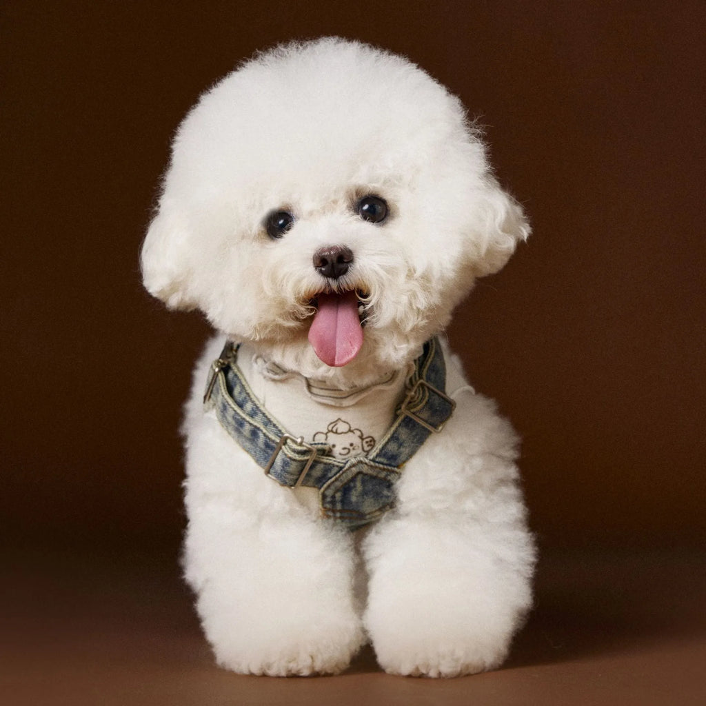 Denim suspender skirt pet clothing for small and medium dogs, 100% cotton, sizes XS to XXL, sleeveless casual style