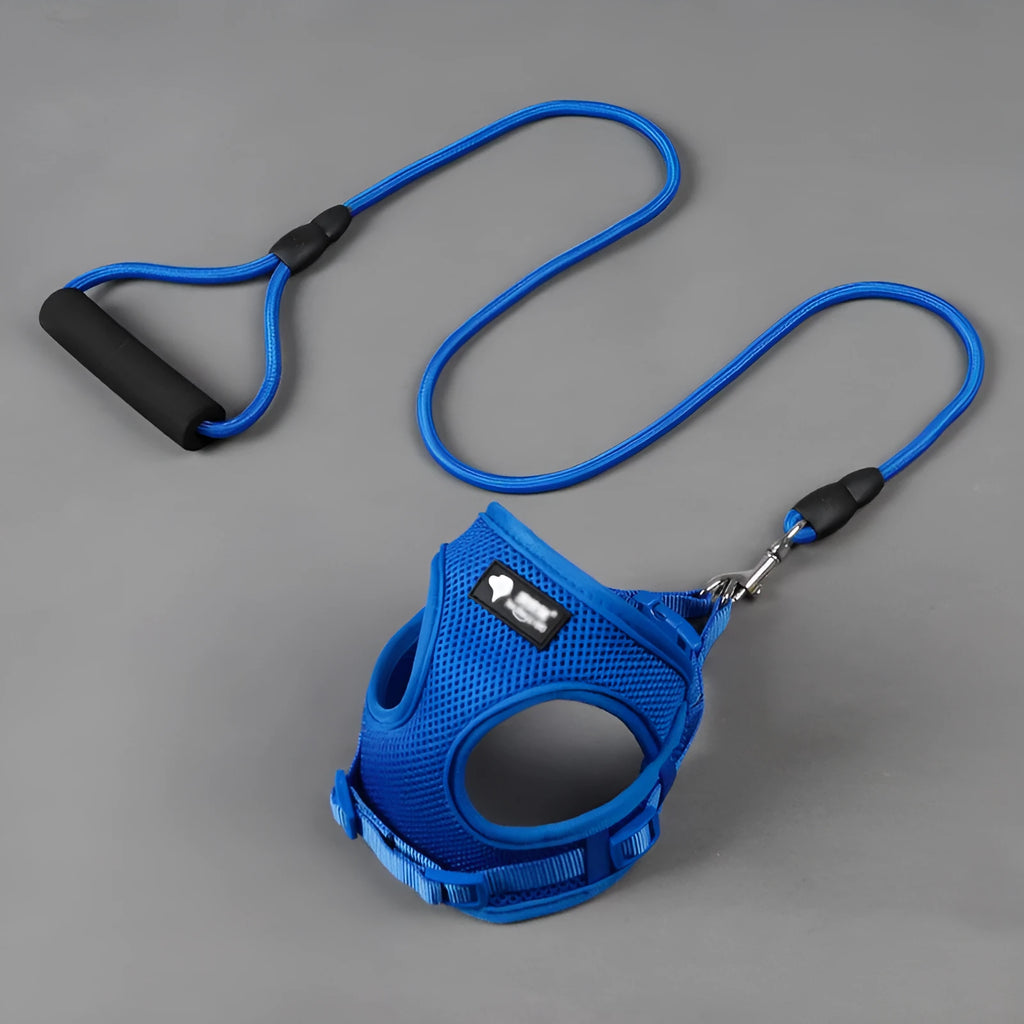 Blue dog leash with a round nylon rope and a grey foam handle on a white background.