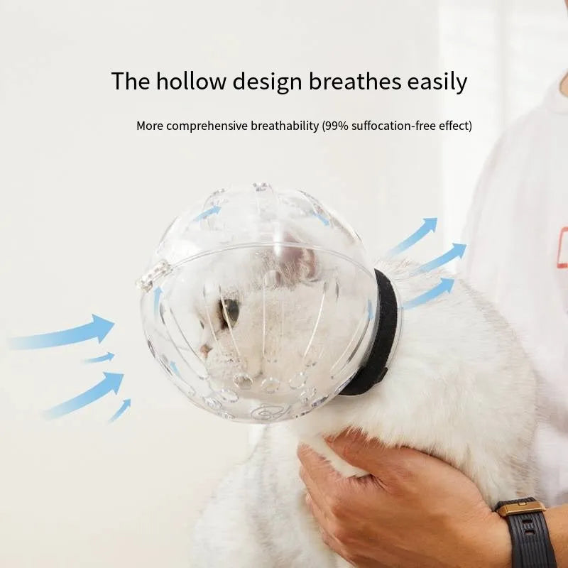 Transparent plastic cat muzzle hood with adjustable Velcro strap shown in three sizes.
