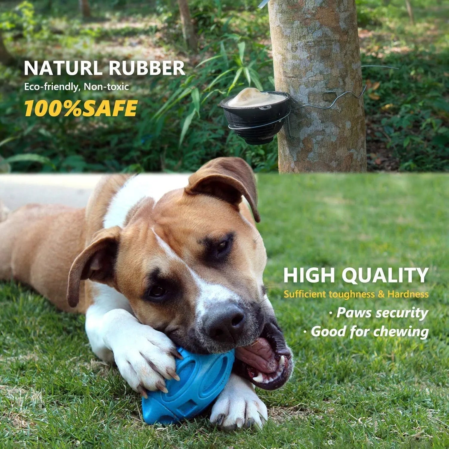 Natural rubber squeaky dog ball toy with surface grooves for medium and large breed aggressive chewers