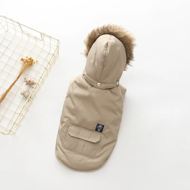 Hooded cotton coat dog clothing in beige on a small dog with an adjustable hood and button closure