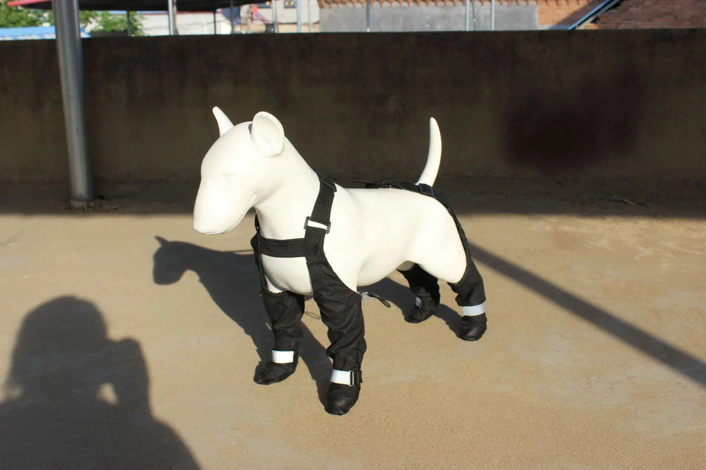 A pair of black dog shoes with a strap closure, shown on a dog's paw.