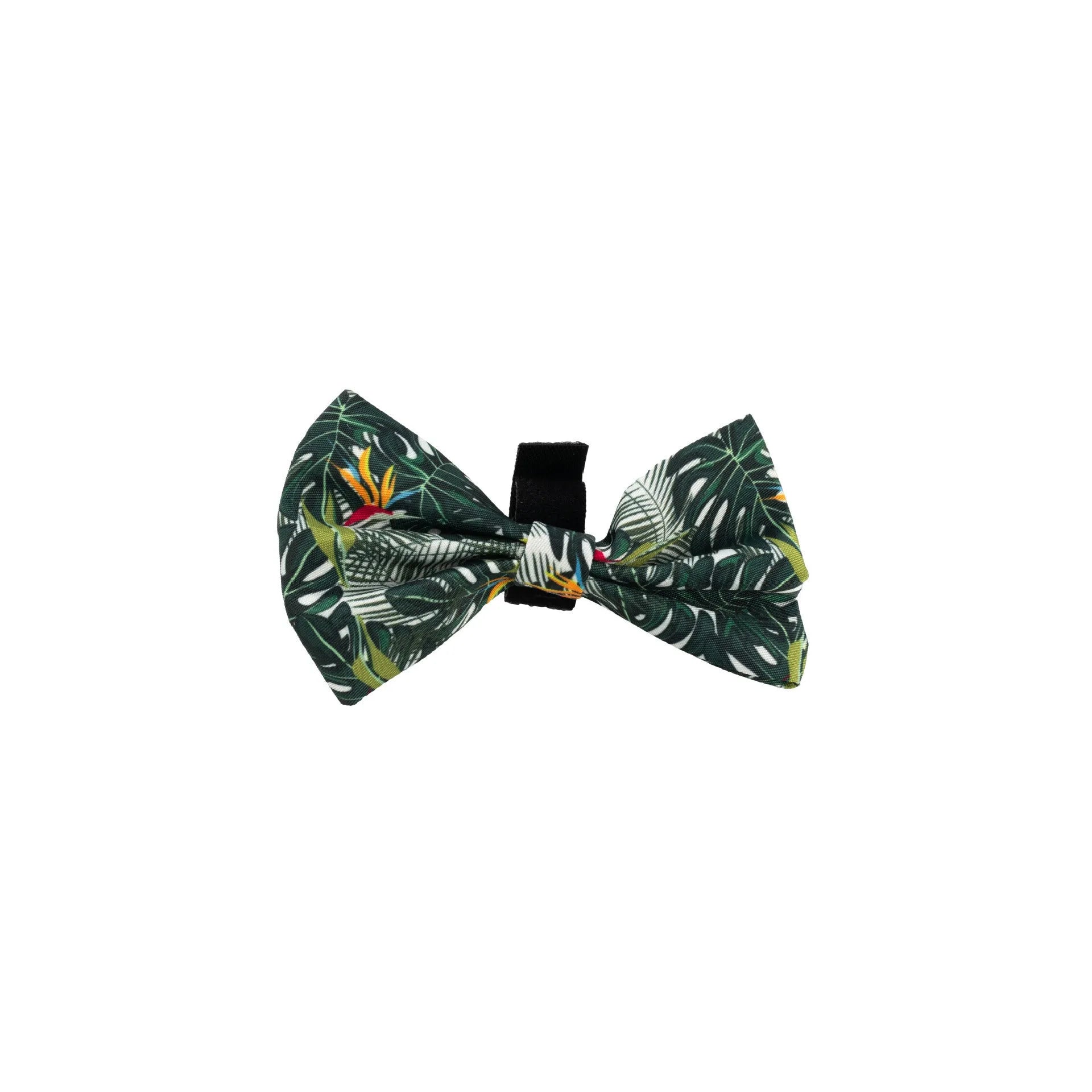 Adjustable cloth pet harness set with six accessories including chest harness, leash, collar, waste bag, bow tie, and triangular scarf