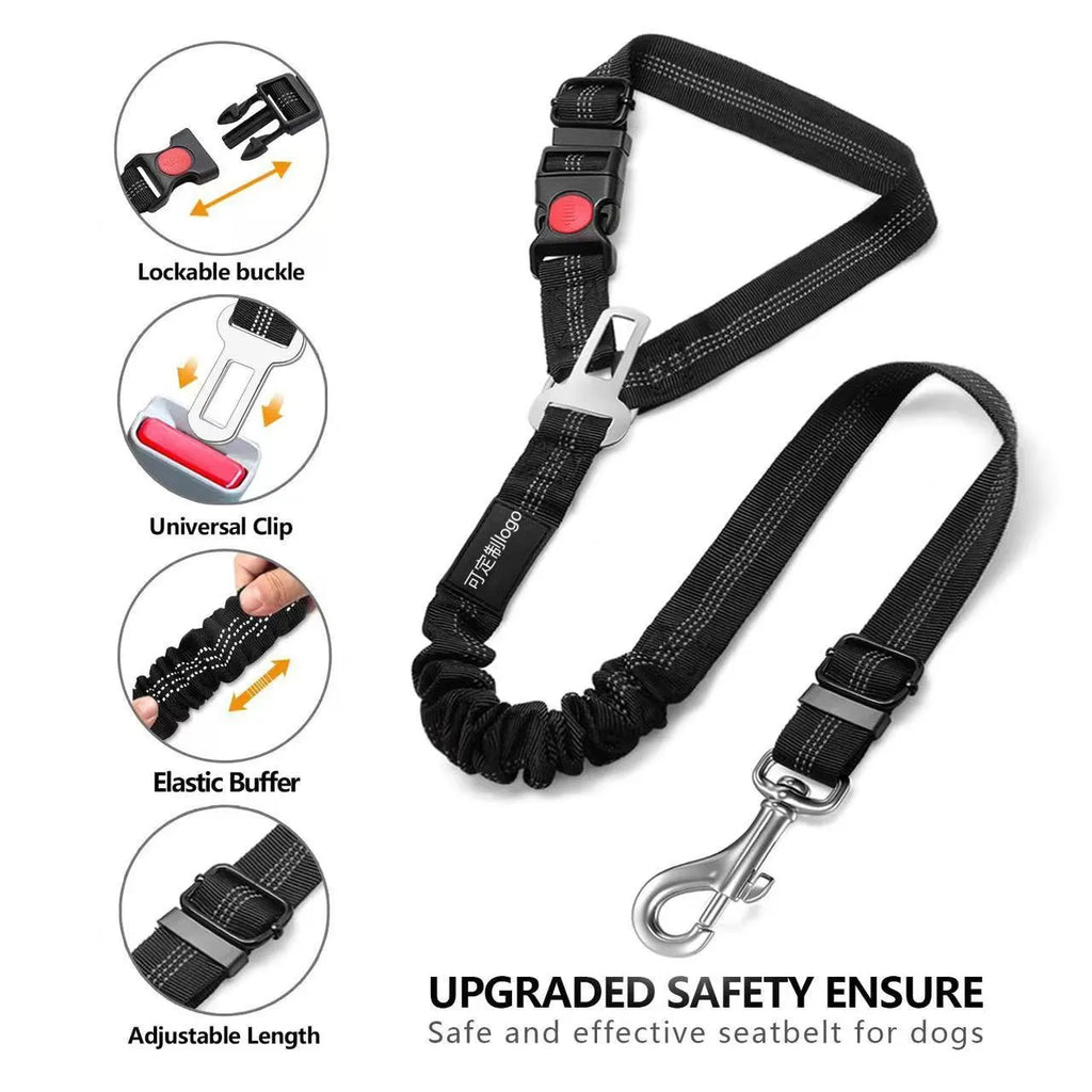 Nylon dog leash with metal buckle shown in multiple colour options including army green, black, blue, pink and red.