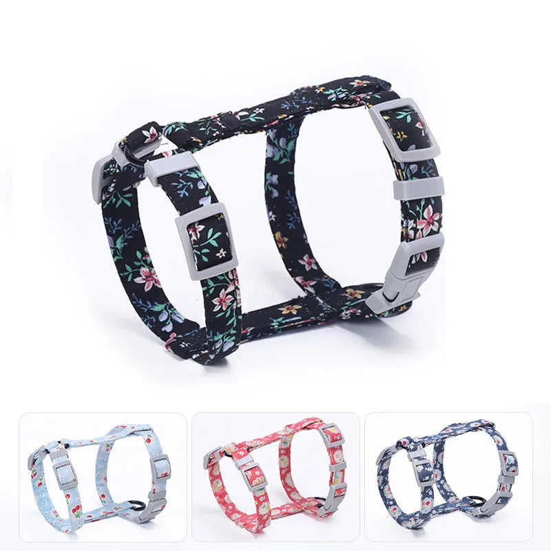 Cat I-shaped chest harness in blue with metal accessories and 150cm rope lead on white background