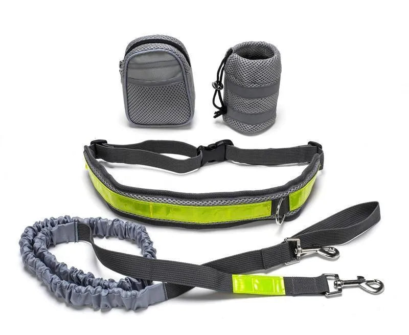 Adjustable hands free dog leash set with gray nylon retractable rope and waist bag on a grass field