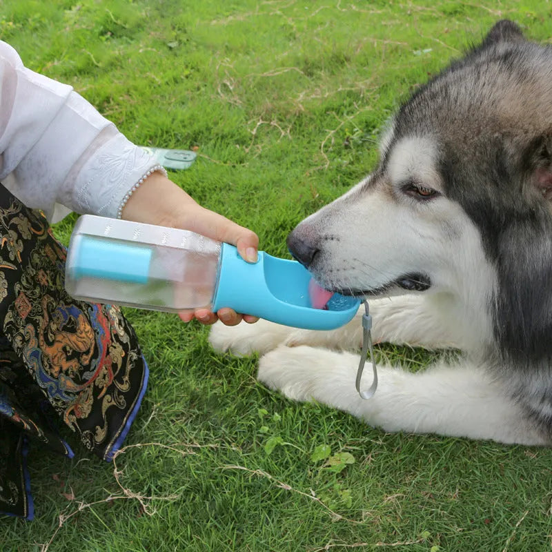 Turquoise portable 3-in-1 dog water bottle with food feeder and built-in poop bag dispenser on a walk