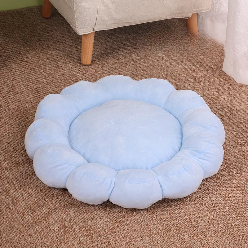 Blue half-enclosed plush pet bed measuring 50cm square for cats and small dogs.