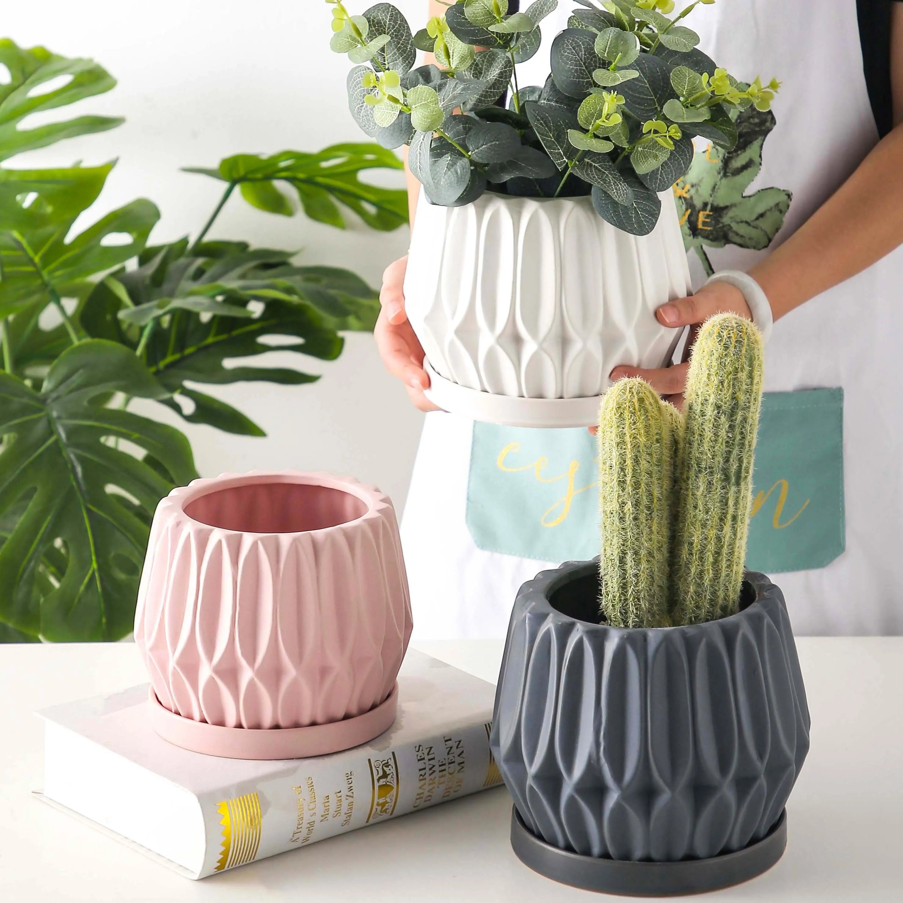 Grey small ceramic tabletop plant flowerpot on a desktop with a small green plant