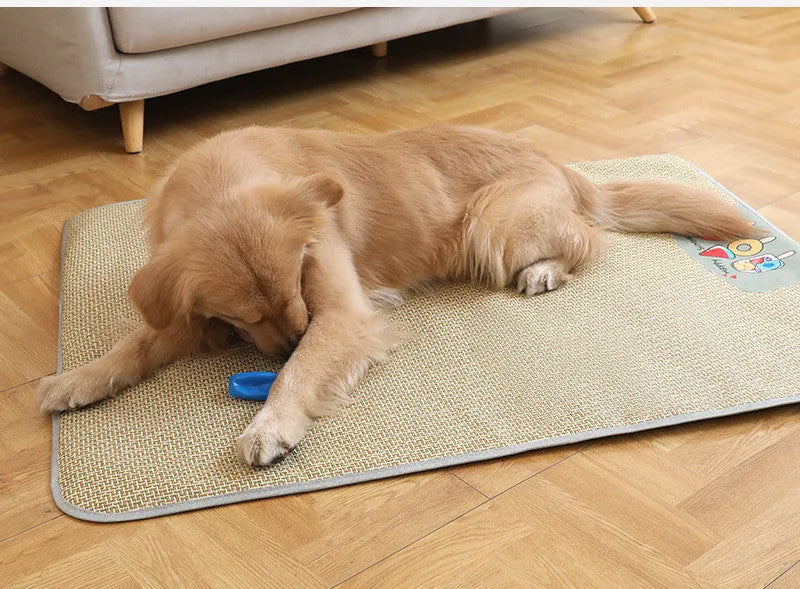 Pet Mat Dog Sleeping Non Slip Ice Cushion Summer Ice Cream Colour Available in S M L XL XXL Sizes 45x35 to 120x90 cm Rattan Mat Sponge Cloth Construction