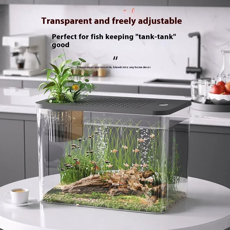 Compact black ecological betta tank with integrated filter and hinged LED light cover on a wooden sideboard.
