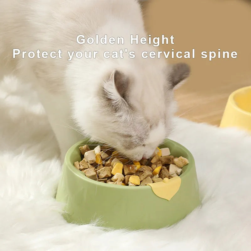 Green plastic double pet bowl with flower-shaped design and anti-tip base for cats and small dogs.