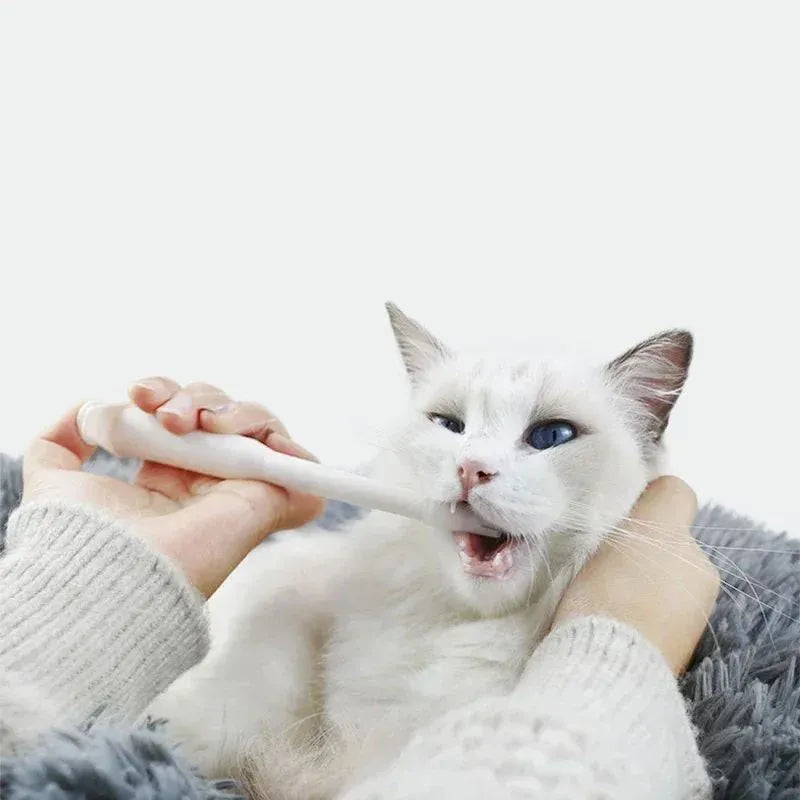 Blue pet medicine feeder push dispenser syringe tube for cats and dogs with liquid medication