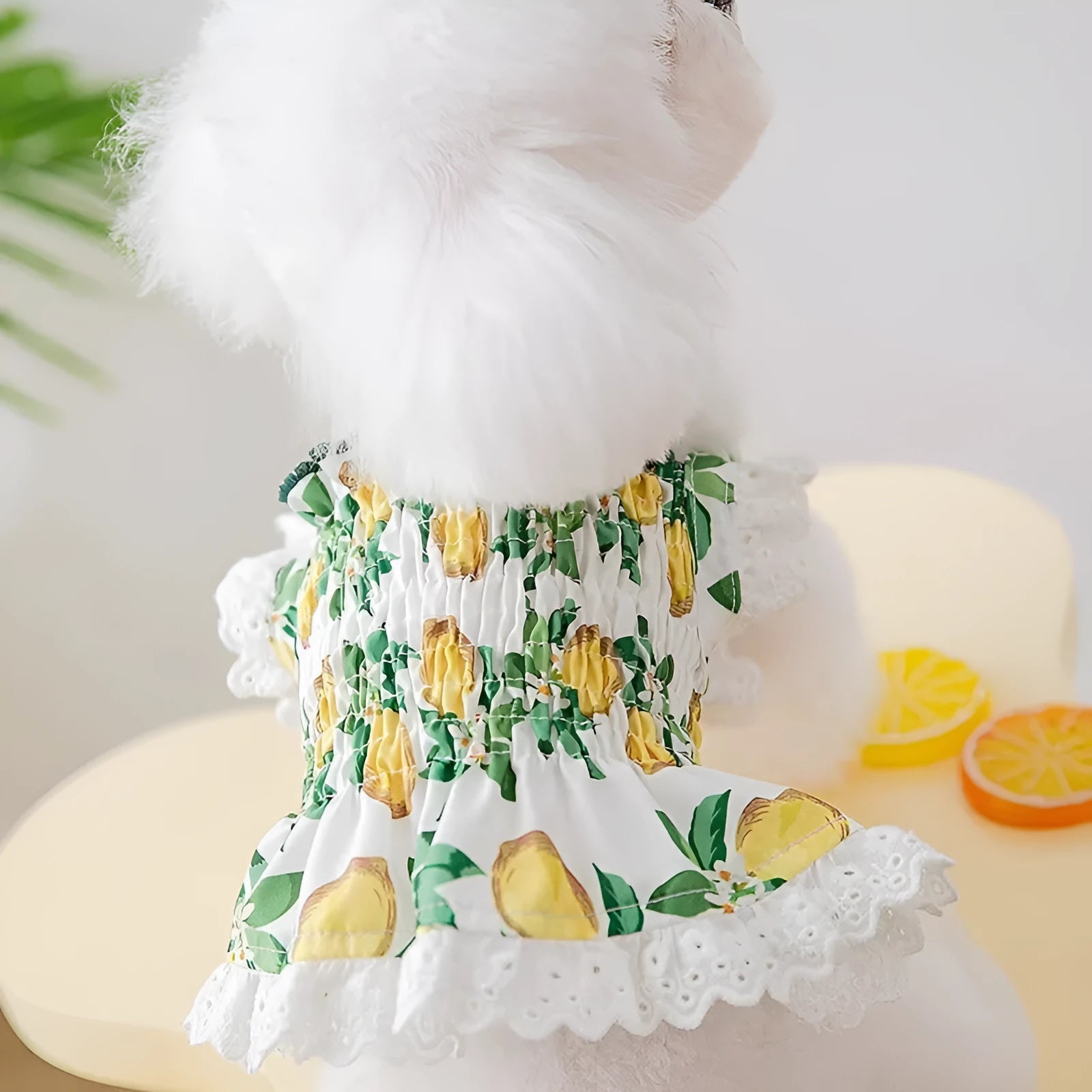 Rock yellow lemon thin breathable polyester strap skirt for small dogs princess style