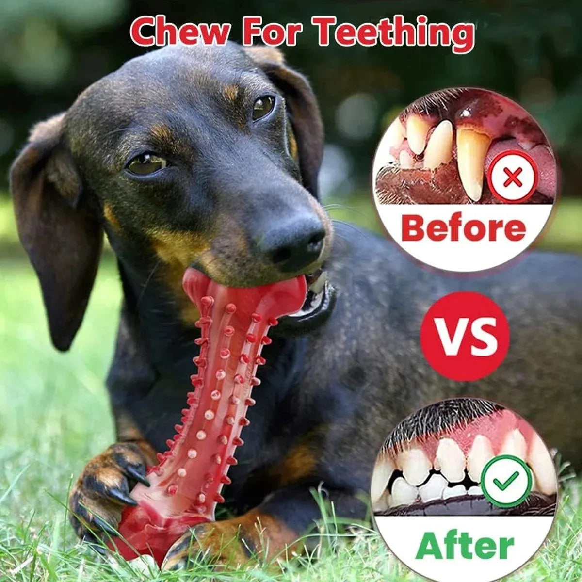 Red natural rubber dog chew toy with raised nodules for aggressive chewers