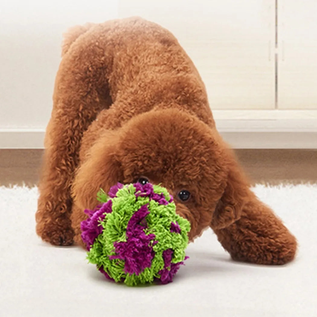 Purple plush dog toy ball with textured sea urchin design measuring 15cm diameter