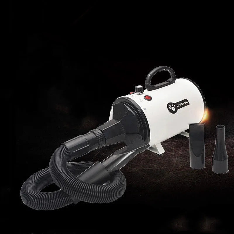 Pet water blowing machine in black with nozzle, adjustable wind speed and temperature for dogs and cats