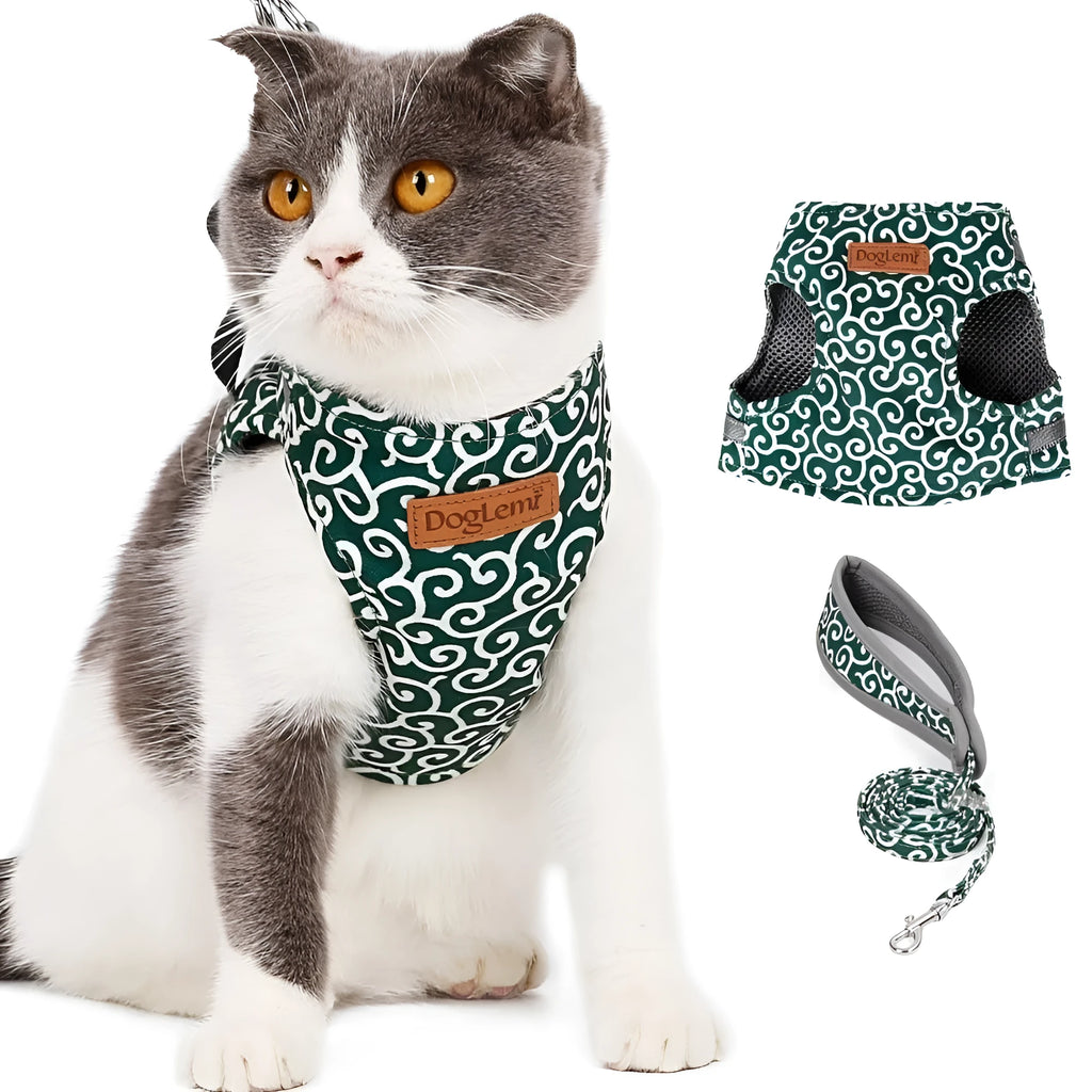 Cat vest harness traction rope in polyester canvas with 38mm Velcro and chrome-plated D-ring, Blue Green Red, S XS