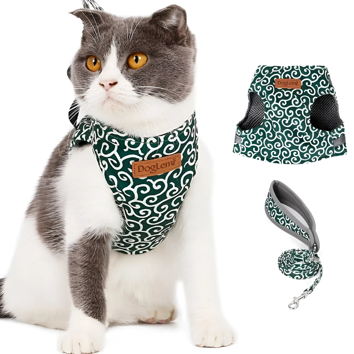 Cat vest harness traction rope in polyester canvas with 38mm Velcro and chrome-plated D-ring, Blue Green Red, S XS