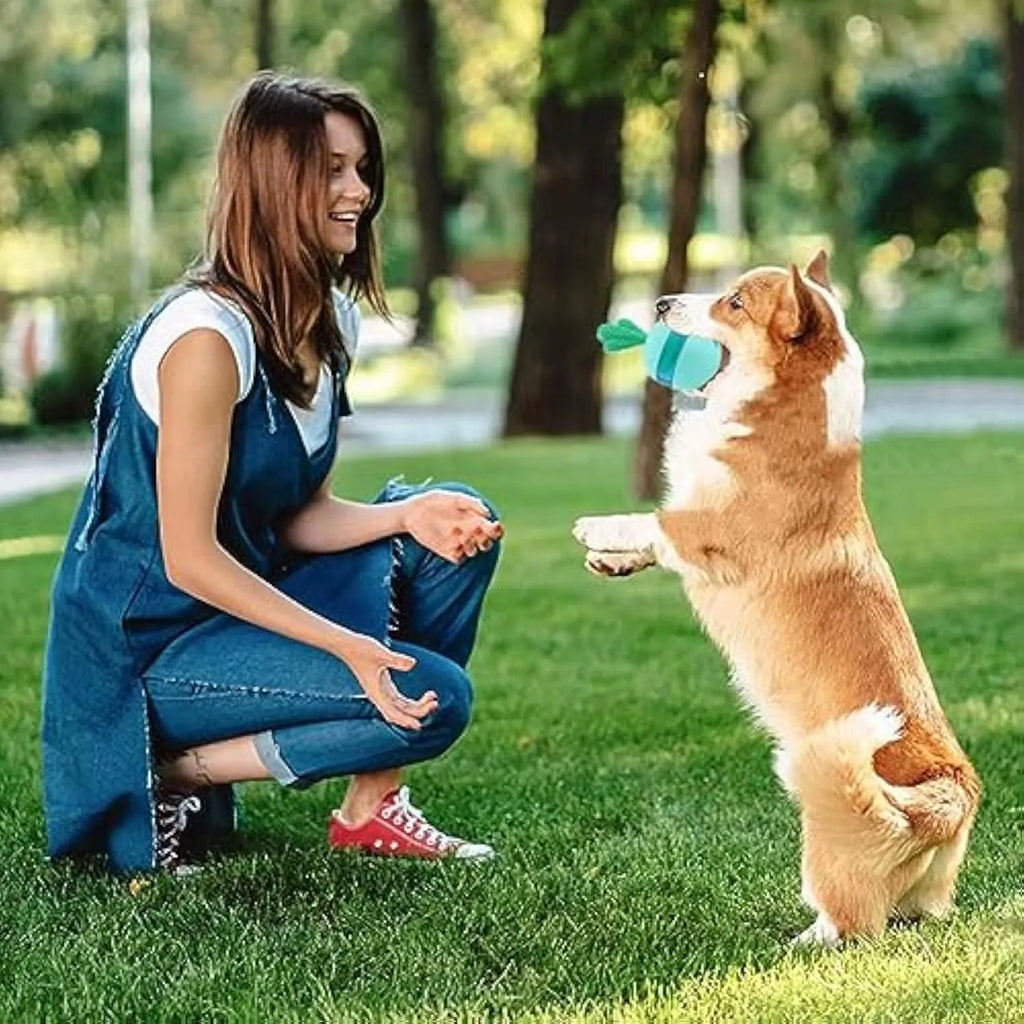 Blue and green durable rubber interactive dog treat dispensing puzzle ball for medium large dogs