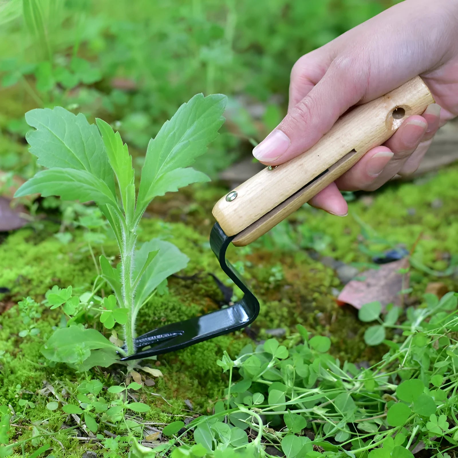 Carbon steel garden weeding and seedling rooting device 20 cm length on soil background