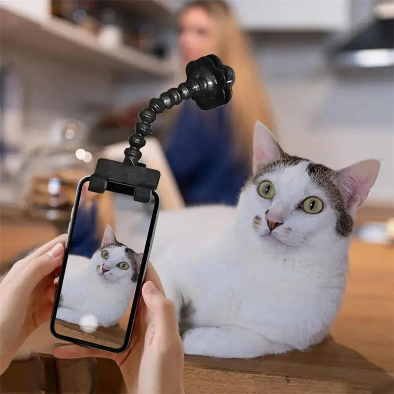 Pet photography tool clip for phone holding a treat to attract cat or dog attention, black plastic