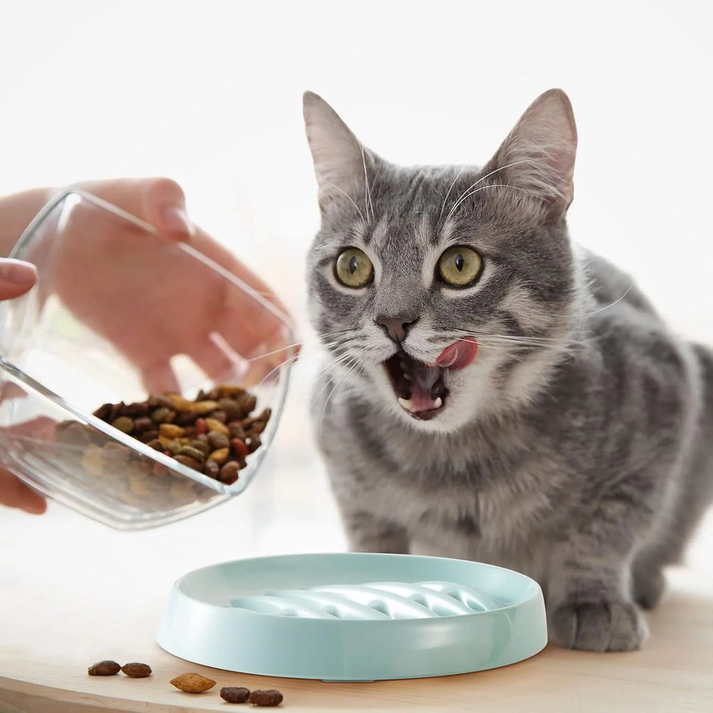 Green fishbone slow feeding plate for cats and small dogs, melamine material, 210mm size