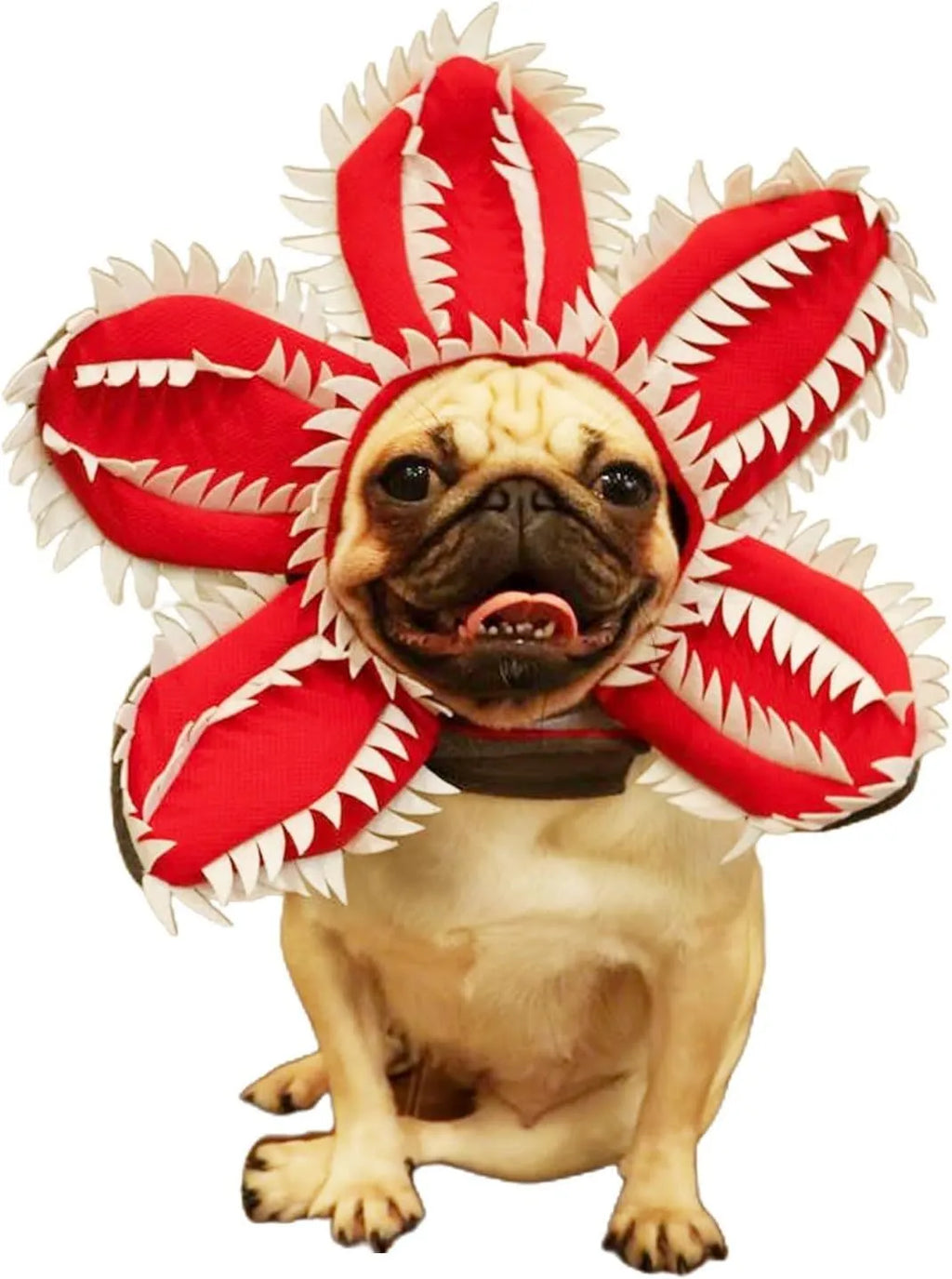 Dog wearing Halloween demon chomper hat costume with flower headband for medium-sized pets