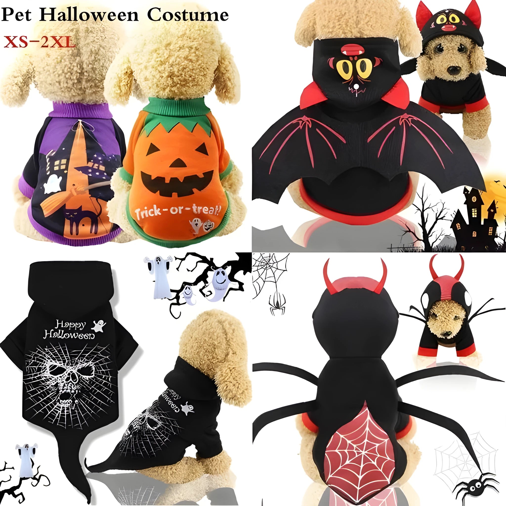 Black cat Halloween pet clothes on a small dog, showing ribbed leg openings and belly cut for potty breaks