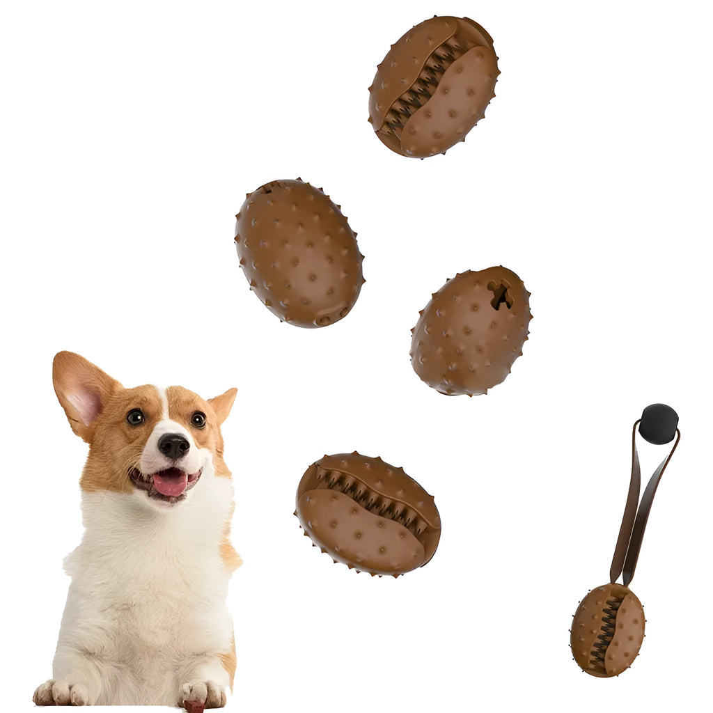 Coffee bean TPR dog toy with attached rope knot on light background