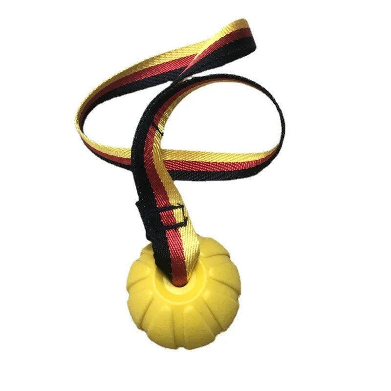 Floating EVA dog training ball with attached string in camouflage and yellow colours, showing three diameter sizes